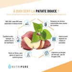 Farine de Patate Douce Bio à chair blanche en poudre