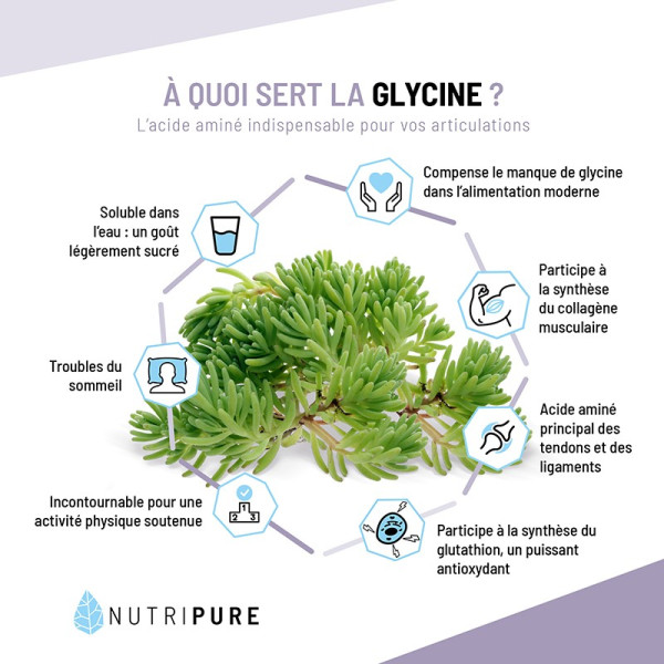 L Glycine cristallisée Acide aminé en poudre pour articulations et le — free download