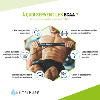 BCAA 2.1.1