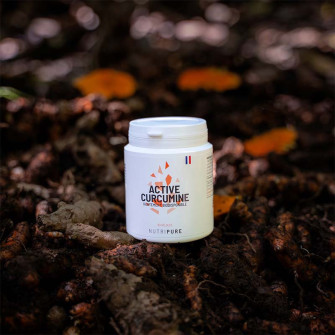 Active Curcumine