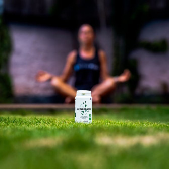 Ashwagandha KSM66 bio