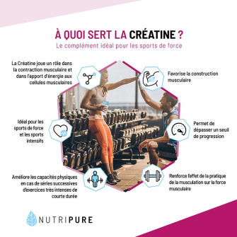 creatine musculation