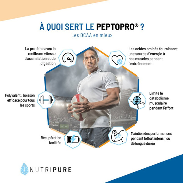 peptopro musculation