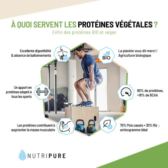 proteine vegetale musculation