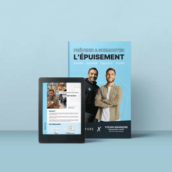 ebook prévenir et surmonter l'épuisement