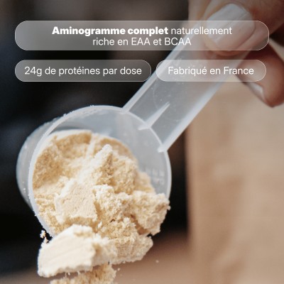 Muscle Protein