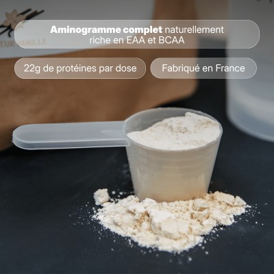 Muscle Protein
