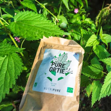 Poudre D'ortie Bio 100% Naturelle - 40 G - Nettle Leaf Powder Du Maroc